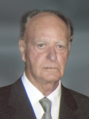 Fellin Giulio