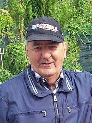 Goller Livio