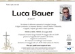 Bauer Luca