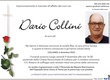 Collini Dario