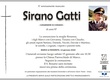 Gatti Sirano