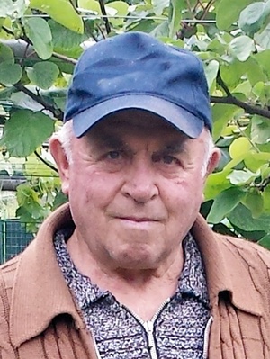 Fumanelli Luigi