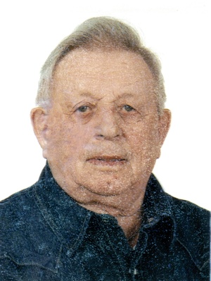 Frisinghelli Costante