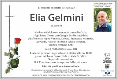 Gelmini Elia