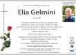 Gelmini Elia