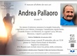 Pallaoro Andrea