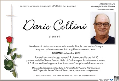 Collini Dario