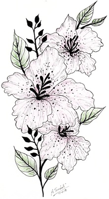 Ferrari Liliana ved. Capovilla