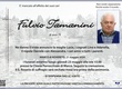 Tamanini Fulvio