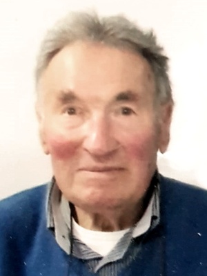 Potrich Modesto