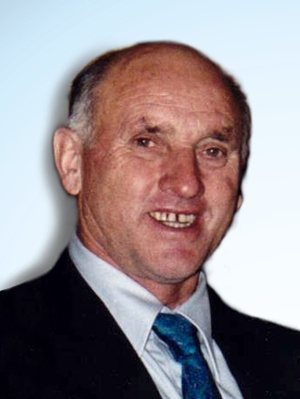 Passerini Dino