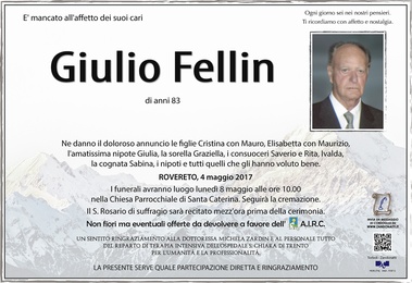 Fellin Giulio
