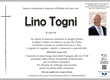 Togni Lino