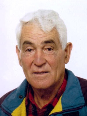 Ferrari Remigio