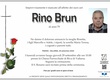Brun Rino