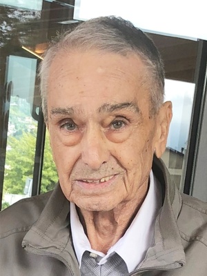 Zucchi Ivo
