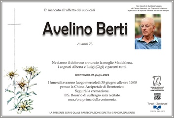 Berti Avelino