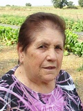 Bellini Amelia ved. Manfredi